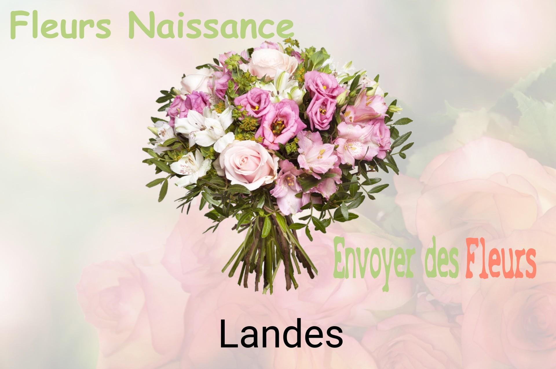 Bouquet de fleurs de naissance livré à Landes